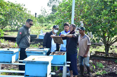 Ayo Minum Madu Lebah Asli Pulau Bengkalis Dijamin Jos 